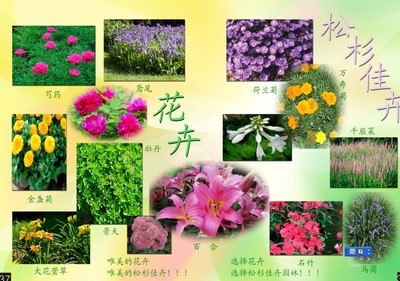 建材市場(chǎng)價(jià)格查詢-中國(guó)建材在線,最全面的大宗原材料線上供應(yīng)市場(chǎng)、最多、最全原材料貨物銷售等