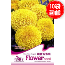 【明黃萬壽菊種子】最新最全明黃萬壽菊種子 產(chǎn)品參考信息