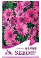 【南非植物】最新最全南非植物 產(chǎn)品參考信息