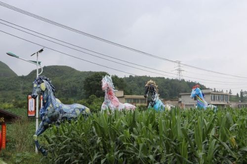 修文縣普陀村 黨建引領(lǐng) 打造宜居宜業(yè)宜游村居樣板