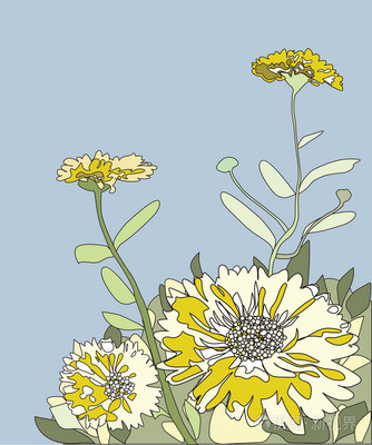 萬壽菊鮮花矢量圖