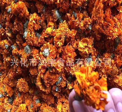 【廠家脫水烘干萬壽菊熱銷產品欲購從速】價格_廠家_圖片 -