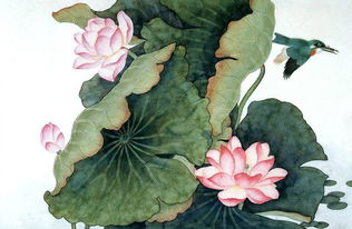 竹墻紙 印花竹墻紙 汗蒸房 diy墻紙 個性墻紙 噴繪竹簾價格 廠家 圖片