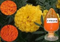 河南 植物提取物批發 植物提取物價格