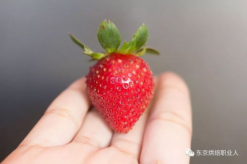 3月女神節(jié)將至 草莓甜點(diǎn)撩女神必備