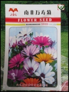 復合包裝制品-專業訂制菊花種子袋 植物種子袋QS認證廠家無塵車間生產-復合包裝.