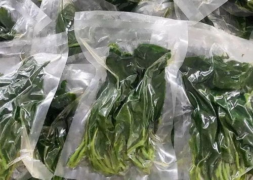 厲害了 鹽亭這個(gè)村子靠桑樹走上致富之路